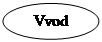 ����: Vvod