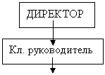 Структура Лицея как пример экологической популяции