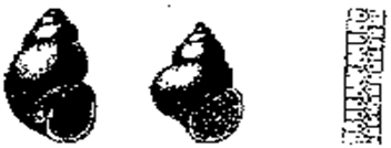 ��������: C:Users�������Desktop61.gif