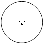 Овал: M