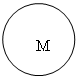 Овал: M